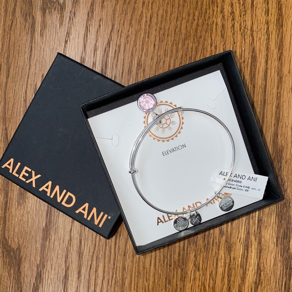Alex And Ani Bracelet